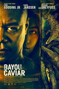 Download Bayou Caviar (2018) BluRay Hindi Dubbed 480p [415MB] | 720p [970MB]