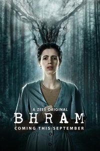 Bhram (2019) Season 1 Hindi Complete ZEE5 Original WEB Series Download 480p 720p