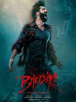 Download Bhediya (2022) WEB-DL [Hindi DD5.1] Full Movie 480p 720p 1080p