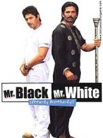 Download Mr. Black Mr. White 2008 Full Movie 480p 720p 1080p