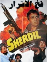 Download Sher Dil 1990 Full Movie 480p 720p 1080p
